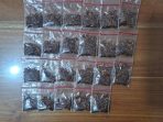 IMG-20260504-WA0056