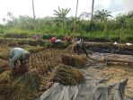 IMG-20260826-WA0096