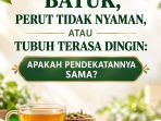 FOTO BATUK